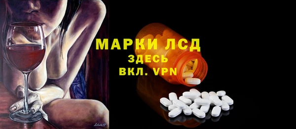 индика Алзамай